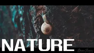 OUR NATURE