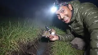 I Strapped a Tiny Camera to a Mouse and It Took Me Inside a Burrow (POV Tunnel Explore!