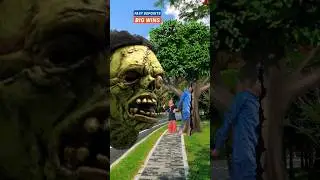 Mora juti Dana wala Pakhi hotam Islamic video 