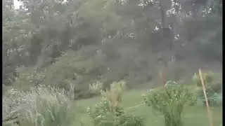Wicked Storm And High Winds