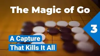 Hanezeki — The Magic of Go Game #3