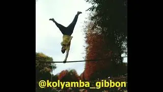 Kolyambing flips feet to feet - INSTA CUT