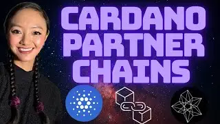 The Rise of CARDANO Partner Chains!