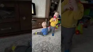 Двойняшки/ Twins 