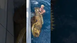 TFUE Catches Fish Bigger than Himself