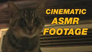 Over 11 Minutes Of ASMR Cinematic Footage 📹