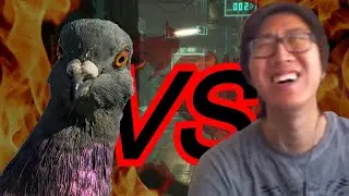 Ty vs  Pigeons But It's Not Even Hatoful It's Observer Highlights I'm Just so Bad at Horror Games