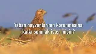 Can Yolu Uygulaması