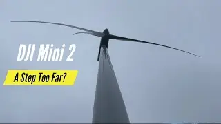 DJI Mini 2 | Is Lassie Going To Go Too Far?