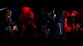 ANGRY FROG REBIRTH - Funky(Live Ver.)