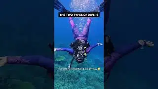Two types of divers: those who can tolerate the cold vs those who just gets FROZEN 🥶