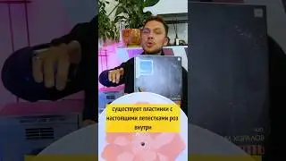 САМЫЕ УДИВИТЕЛЬНЫЕ ФАКТЫ ПРО ВИНИЛ 🎵