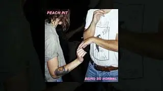 Peach Pit - Private Presley [Custom Instrumental]