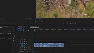 Adding audio and video tracks in Premiere Pro | Quick Tip