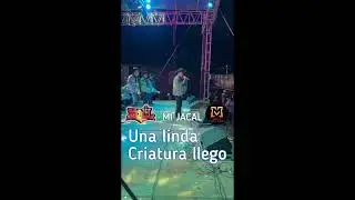 “MI JACAL”  letra BANDA MOVIL