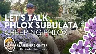 Let's Talk Phlox Subulata (Creeping Phlox) 🌸 Garden Guru Sean at The Gardener's Center