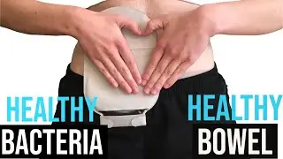 Bacteria & Bowels - A Tale as Old As Time