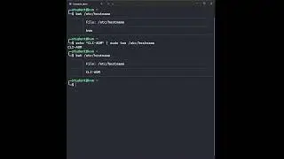 hostname configuration demo