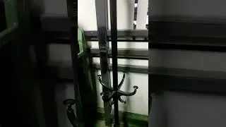 находка на помойке Санкт-Петербурга 