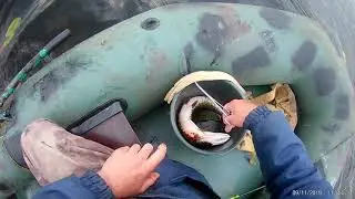 сентябрьская щучка