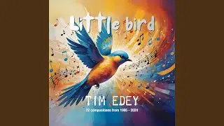 Little Bird