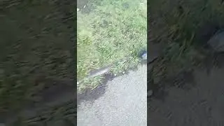 7 июня 2019 г.