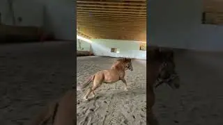 She said you can’t catch me!