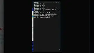 Telnet in Action to access Linux