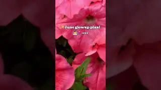 June glow up plan #love #loveyourskin #beautyempowerment