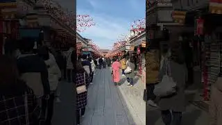 Japan 2023 - Lunar New Year
