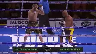 anderson silva vs julio cesar chavez jr highlights