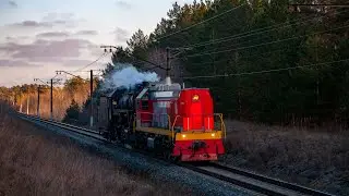 Тепловоз ТЭМ18ДМ-2031 и паровоз Л-4514
