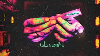 shoika x adumitru - rollin
