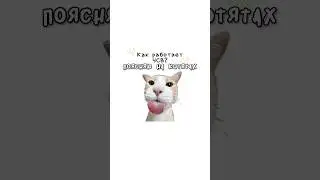 Как работает ЧСВ?