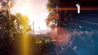 Horizon Zero Dawn Lighting effects. Lens flare