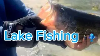 One of the biggest Bass I ever Caught! Lake fishing 🎣