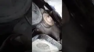 Ремень генератора покинул чат!