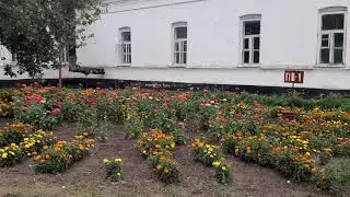 Сапожковская ЦРБ территория