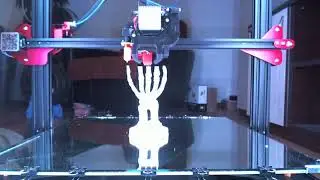 Skeletal Hand stand, Natural PETG
