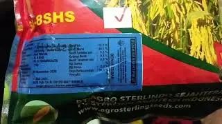 Benih Hibrida Asli Sterling