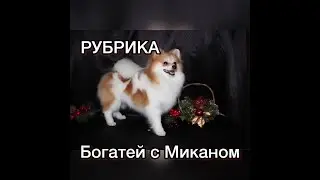Богатей с Миканом