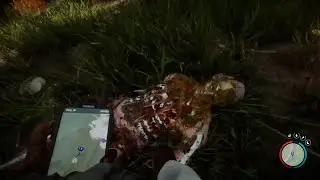Sons Of The Forest is WEIRD