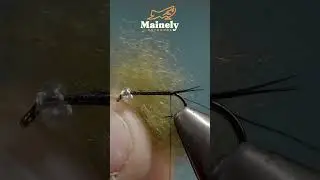 Must Have Spring Fly!