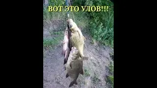 Вот это УЛОВ!!!Наловил ЛЕЩЕЙ на ДЕСНЕ