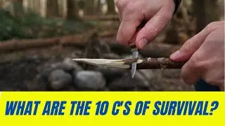 What Are The 10 C's of Survival?