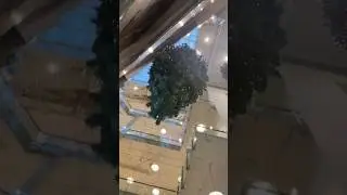 БОЛЬШЕ ИХ НИКТО НЕ ВИДЕЛ 😳 || ТГК: TheDmytrenko007