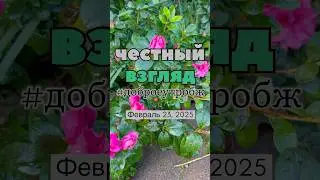 Честный взгляд внутрь себя 
