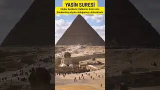 Yasin Suresi Hiç Kuşkusuz Ölüleri Ancak Biz Diriltiriz. Onların Yaptıkları Herşeyi Yazarız.