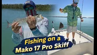 We Found the Trout! | Mako 17 Pro Skiff Fishing Day