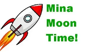 Why Mina Coin Is Headed To The Top In The Crypto Space